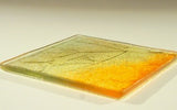 Set of 4 Glass Coasters - Autumn/Fall
